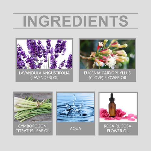 Rose lavendel massageolie til mænd