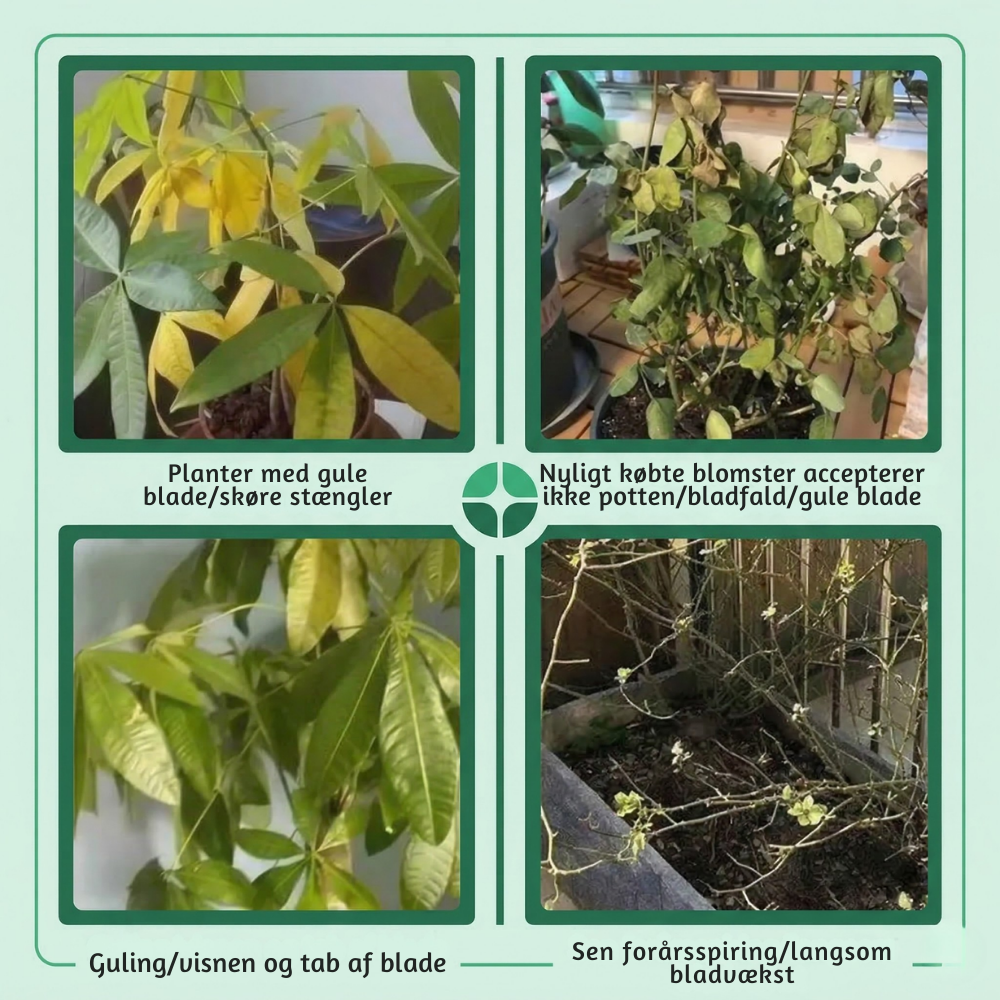 PrettyKraft™ – Naturlig Prettystyrke & Optimal Plantevækst
