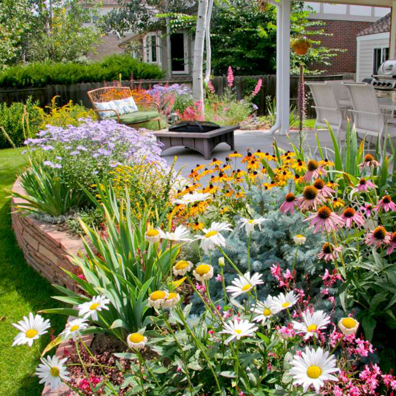 PrettyicBloom™ – Farverigt Blomstermix med over 60 Sorter (1000 stk.)